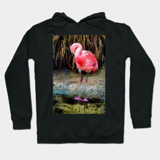 Pink Flamingo Digitized Watercolor Hoodie